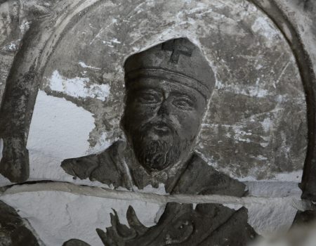 Archivio Fotografico Festa dei Gigli Paolo Peluso (8)
